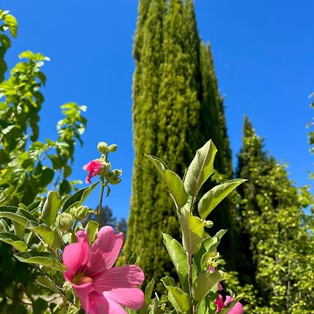 Demelida Villa In Tsada, Paphos Tsadha Buitenkant foto