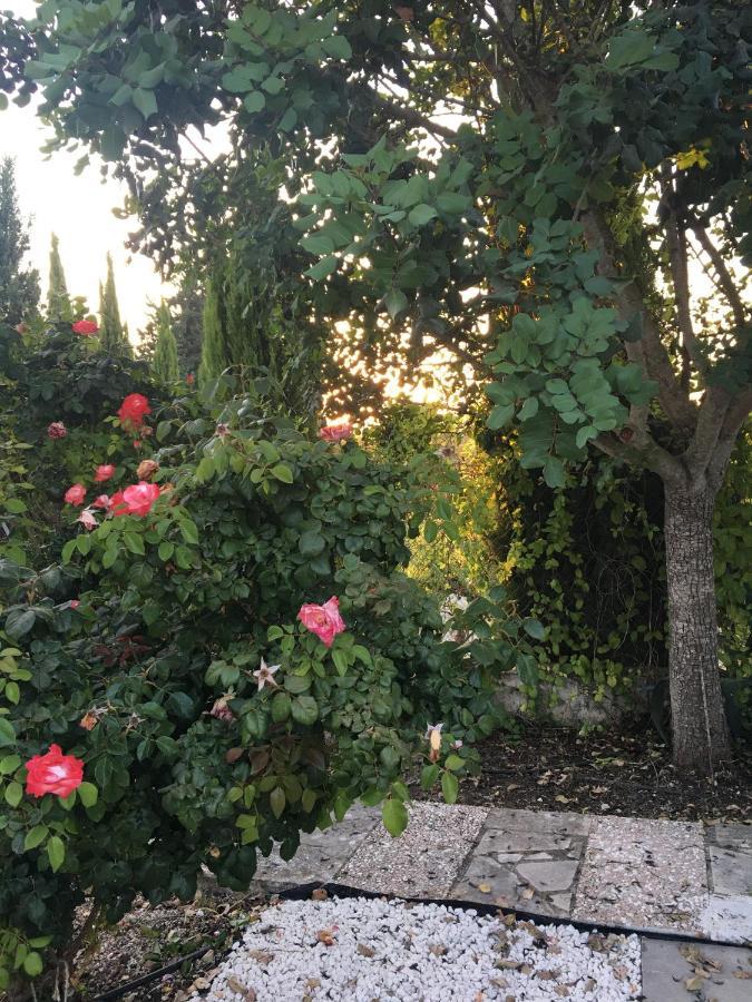 Demelida Villa In Tsada, Paphos Tsadha Buitenkant foto