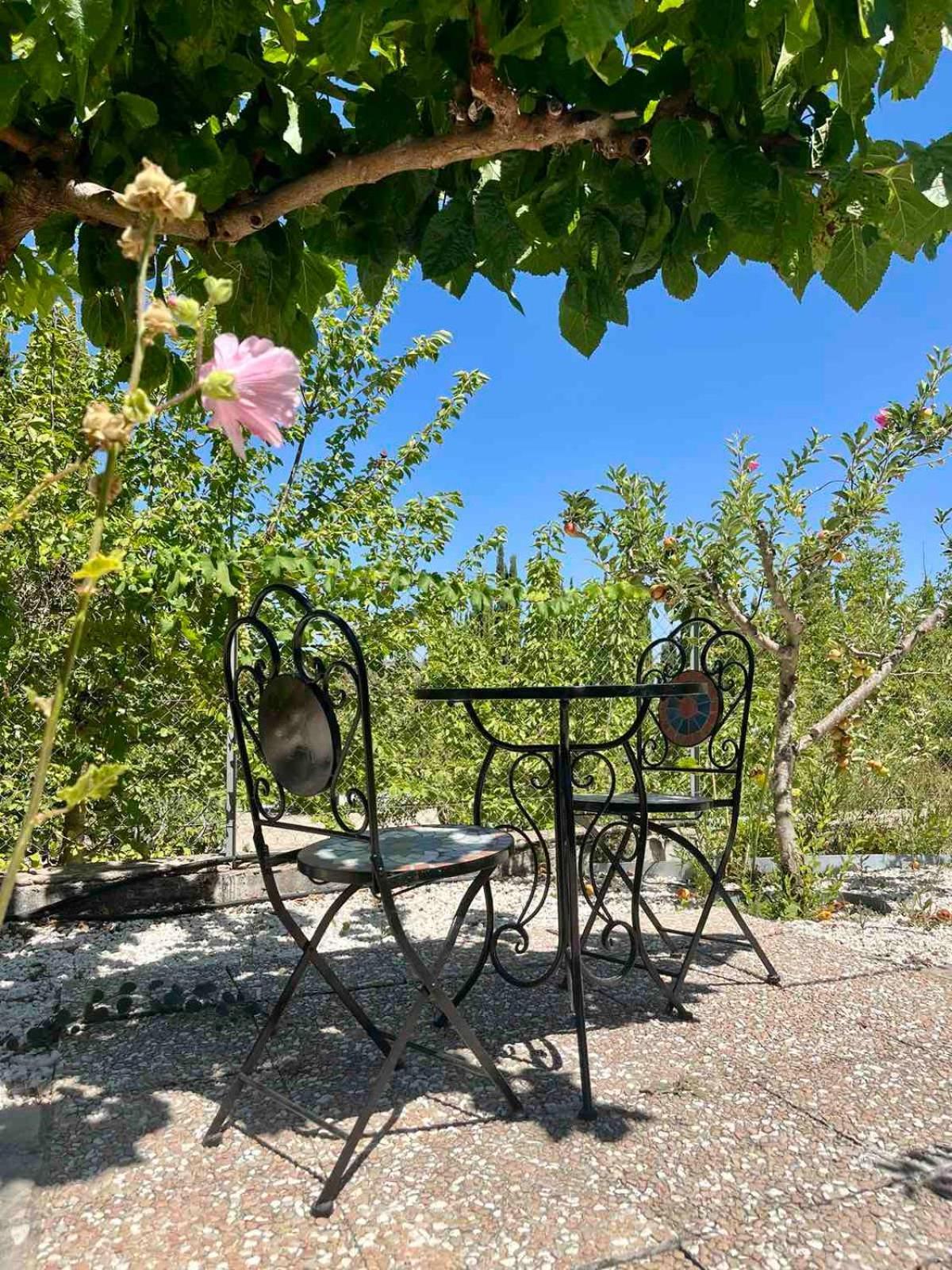 Demelida Villa In Tsada, Paphos Tsadha Buitenkant foto